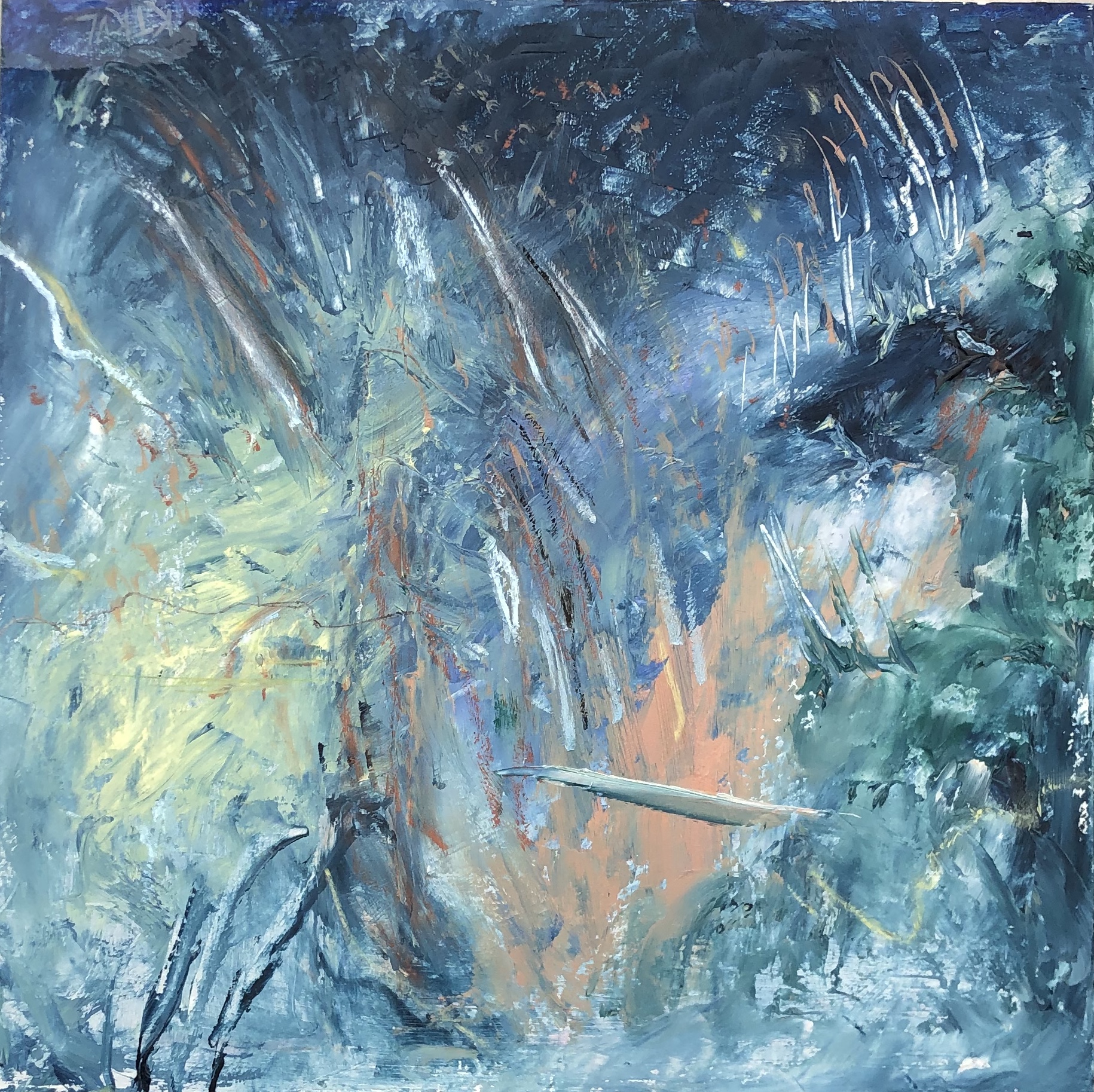 Contra Tweet by Kathleen Van Lieu