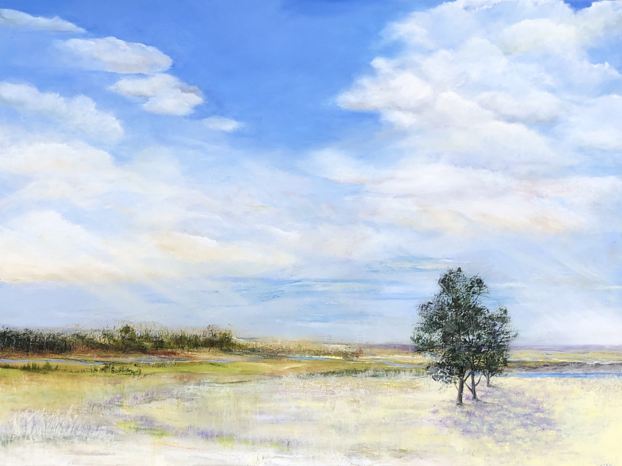 Click here to view Dry Summer Heat by Kathleen Van Lieu